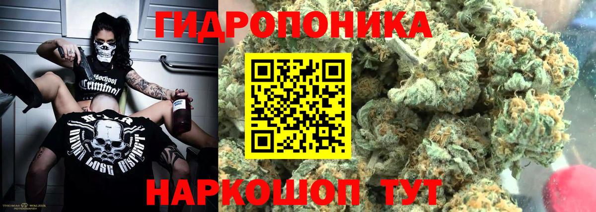 МАРИХУАНА семена  Канабис индика  Бошки Шишки THC 21%  Вход с VPN  Карачаевск 